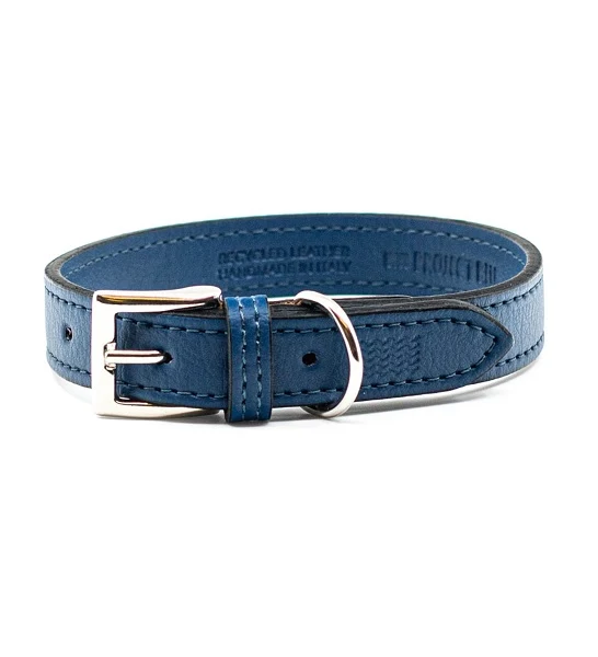 Project Blu Laguna Collar for Dogs