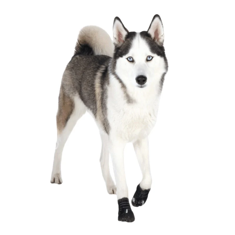Trixie Walker Active Protective Boots 2pc-Set for Dogs