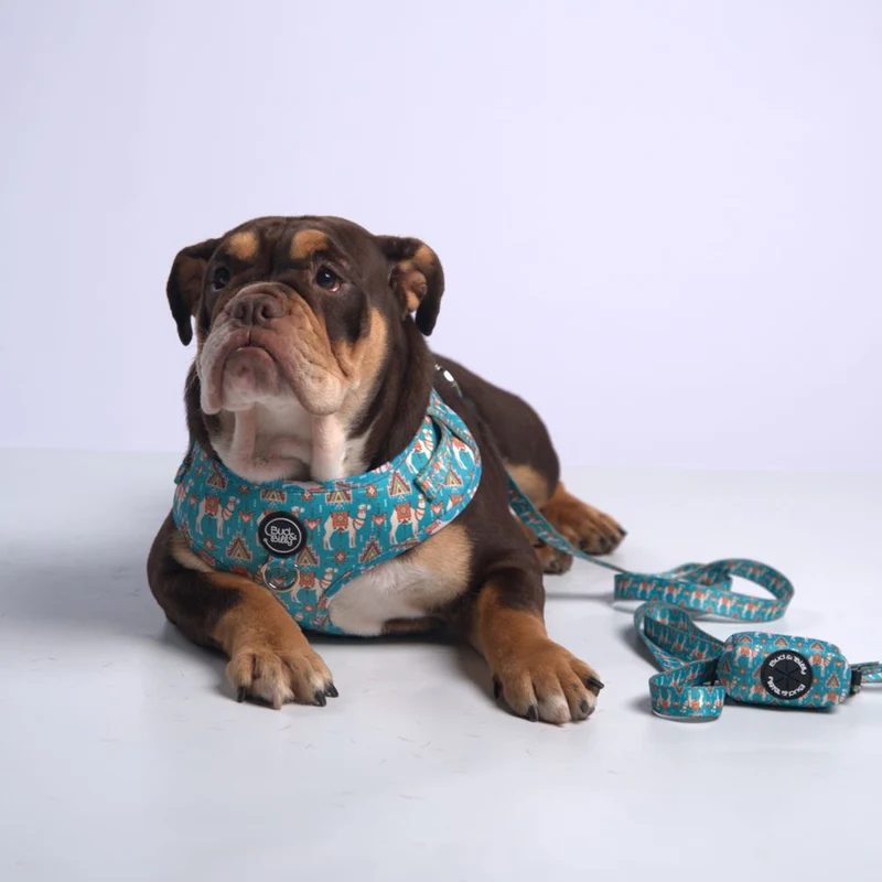 Bud & Billy Dog Harness Adjustable (XXS-XL) - Breathable Vest, Dunes Oasis Collection, Vibrant Blue