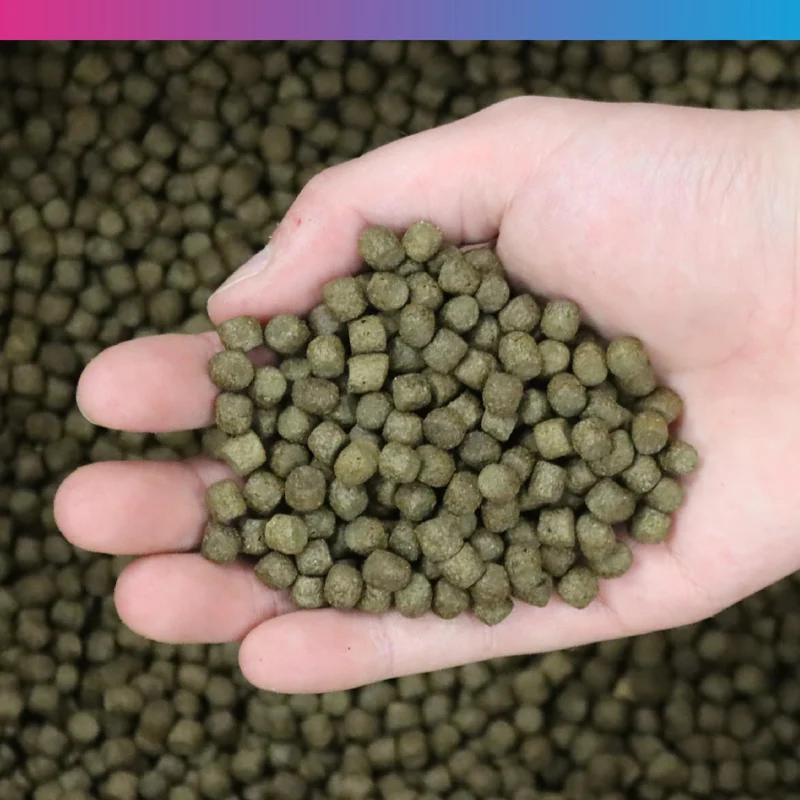 NT Labs Medikoi Probiotic Growth Junior 3mm Fish Food 1.75KG