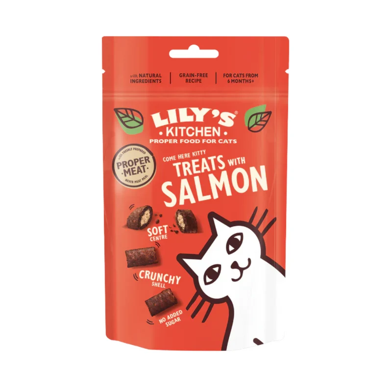 Lily's Kitchen Salmon Pillow Cat Treats 60G