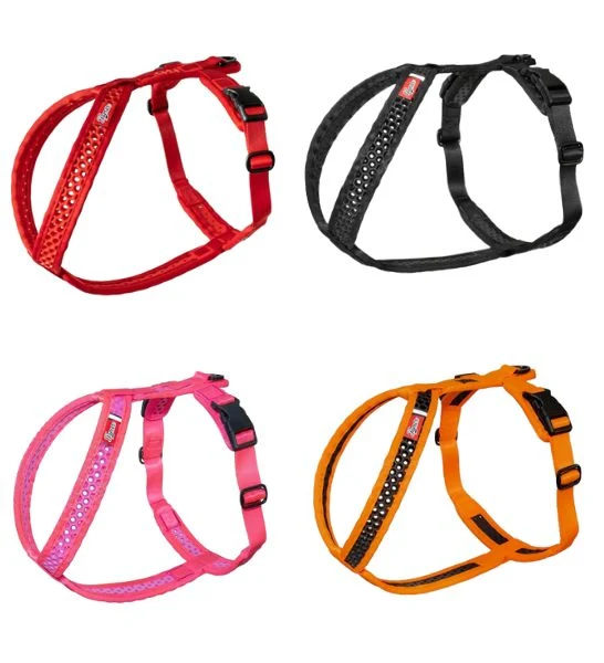 Tamer Harness SOFTY for Dogs