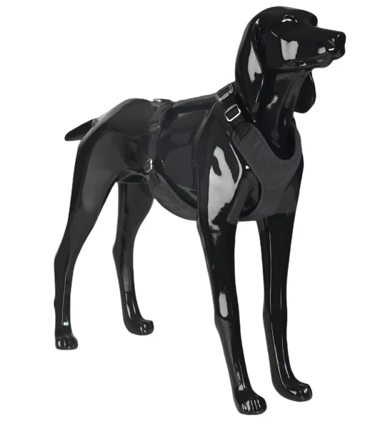 PAIKKA Visibility Harness for Dogs