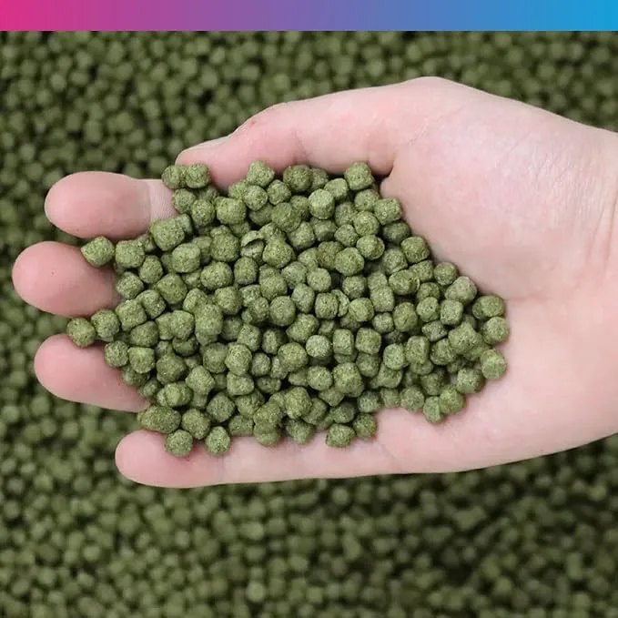 NT Labs Medikoi Staple with Colour Enhancer Fish Food