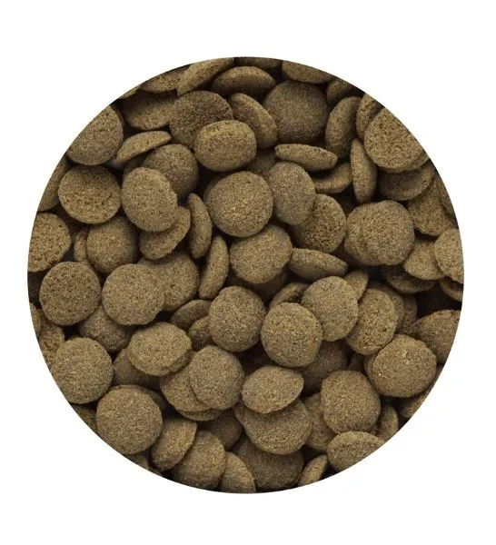 Hikari Tropical Sinking Wafers Fish Food 25G