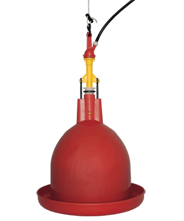 KH3 Poultry and Game Bell Drinker