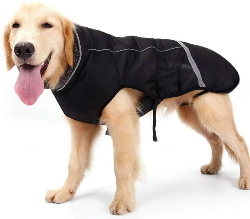 SHARK CAMOUFLAGE DOG COAT