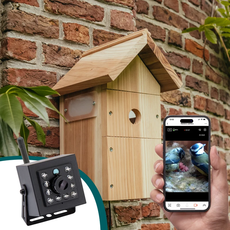 WiFi Bird House Camera