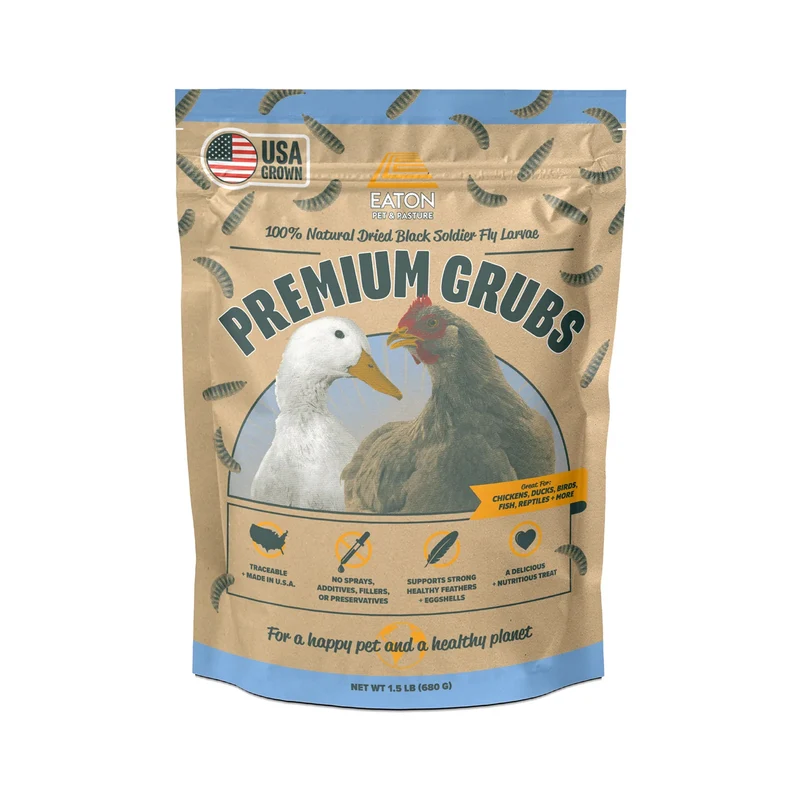 Black Soldier Fly Larvae (Premium Grubs - USA)